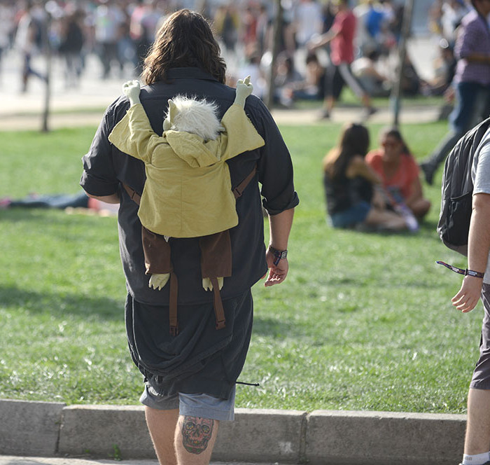 Lollapalooza Chile 2014 - día uno | Fotógrafo: Javier Valenzuela