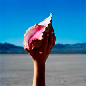 The Killers:  "Wonderful Wonderful" (2017) The-killers-nuevo-album-300x300